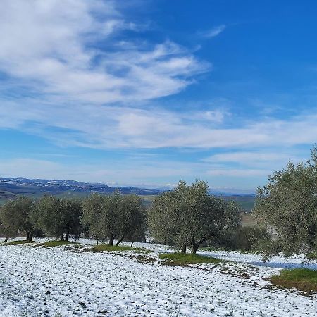 Hotel Dimora In Francigena San Quirico dʼOrcia Exteriér fotografie