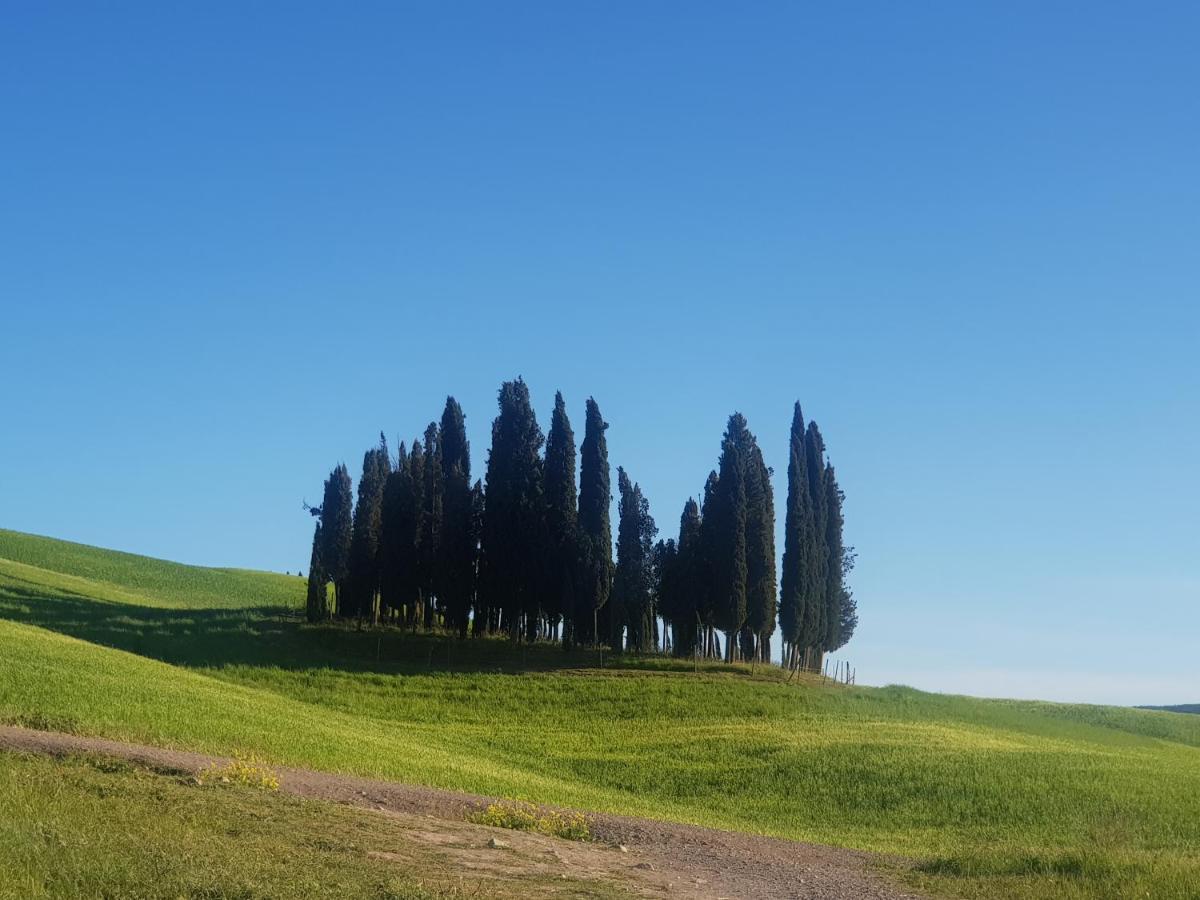 Hotel Dimora In Francigena San Quirico dʼOrcia Exteriér fotografie